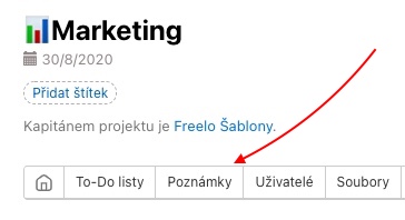 Sekce Poznámky na detailu projektu.