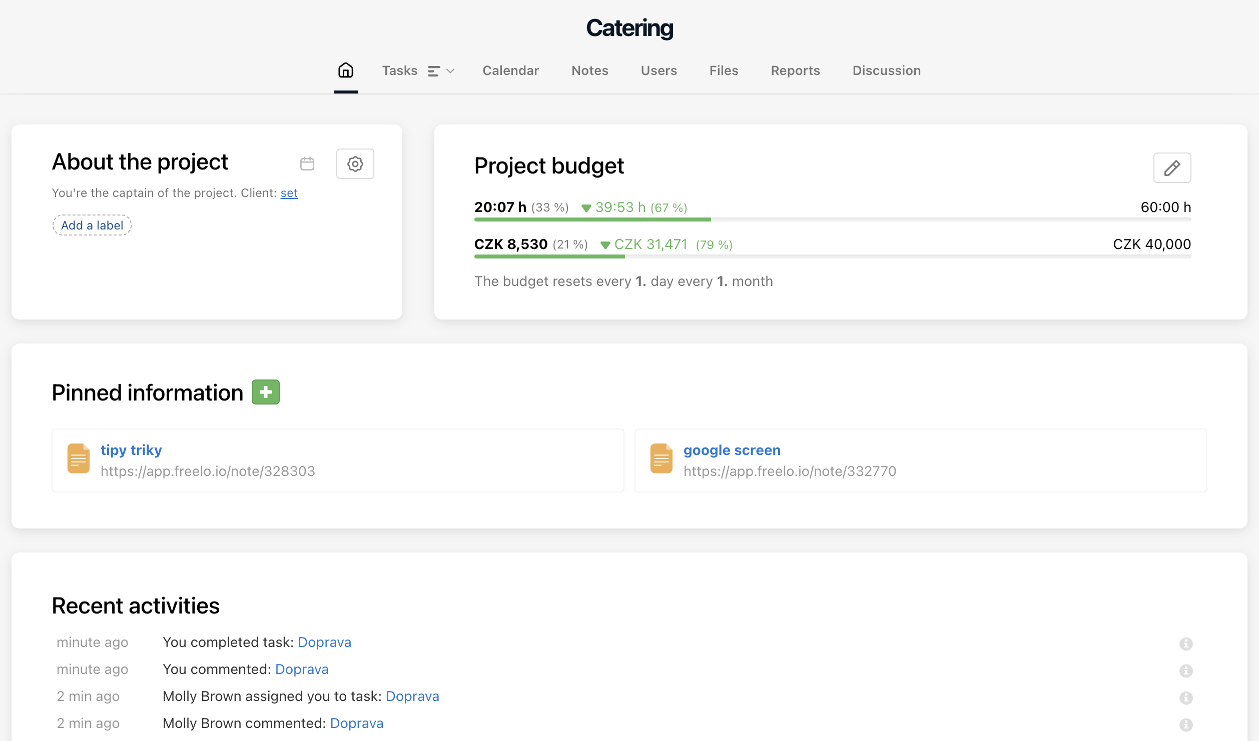 Example of deducted cost reports from project budget.