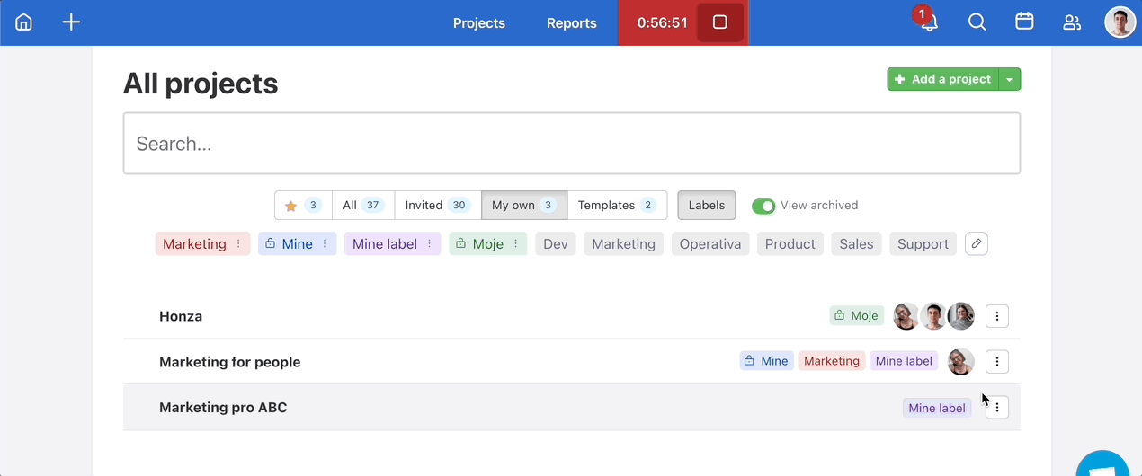 Deleting Project label.