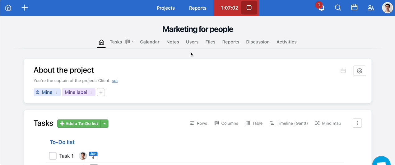 Viewing Project labels on the Project Menu.