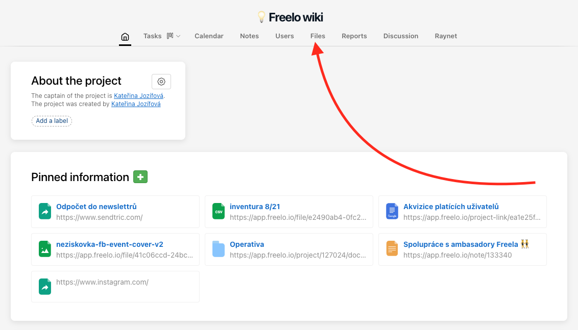 Section Files is in every project detail below the project name.