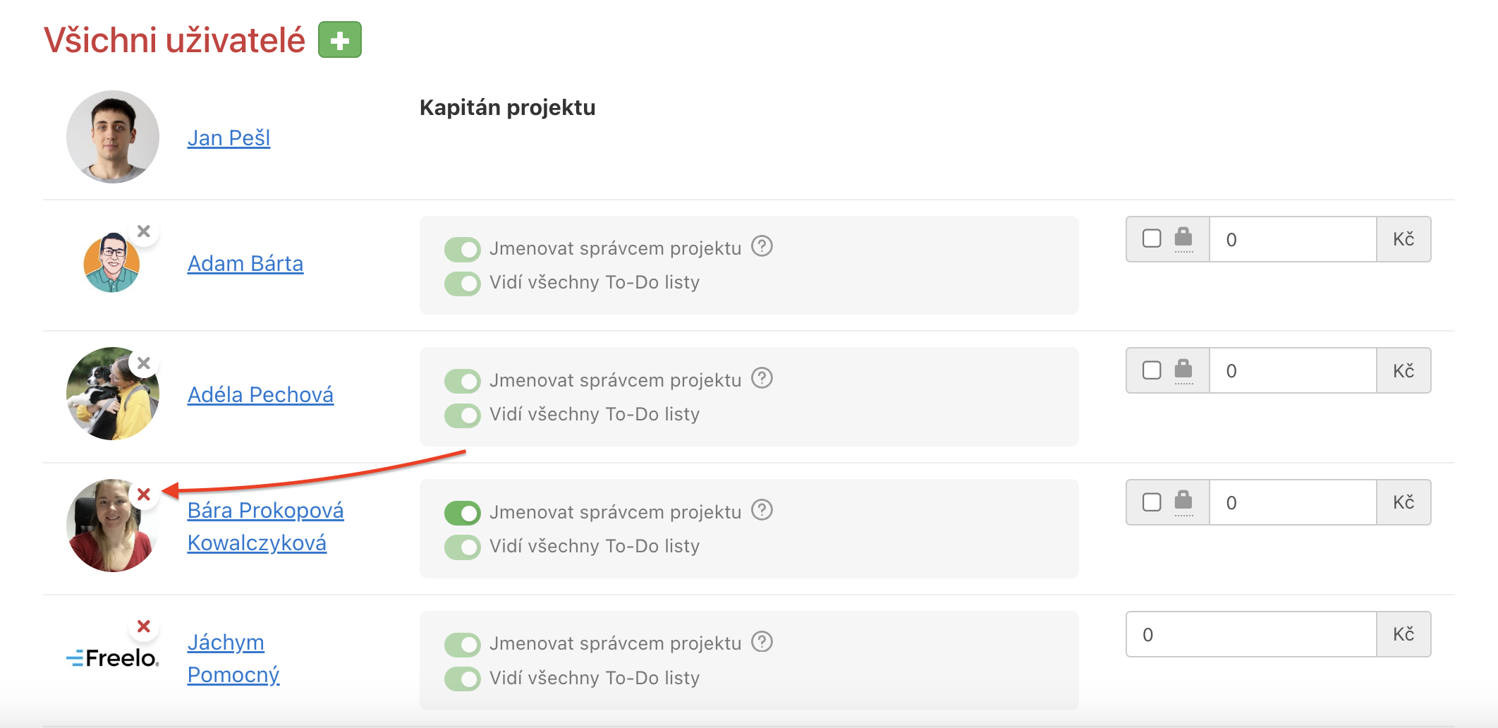 Jak odebrat uživatele z konkrétního projektu.