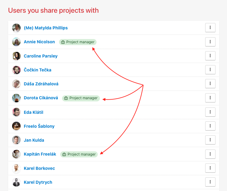 Check overview of Project managers in the All users.
