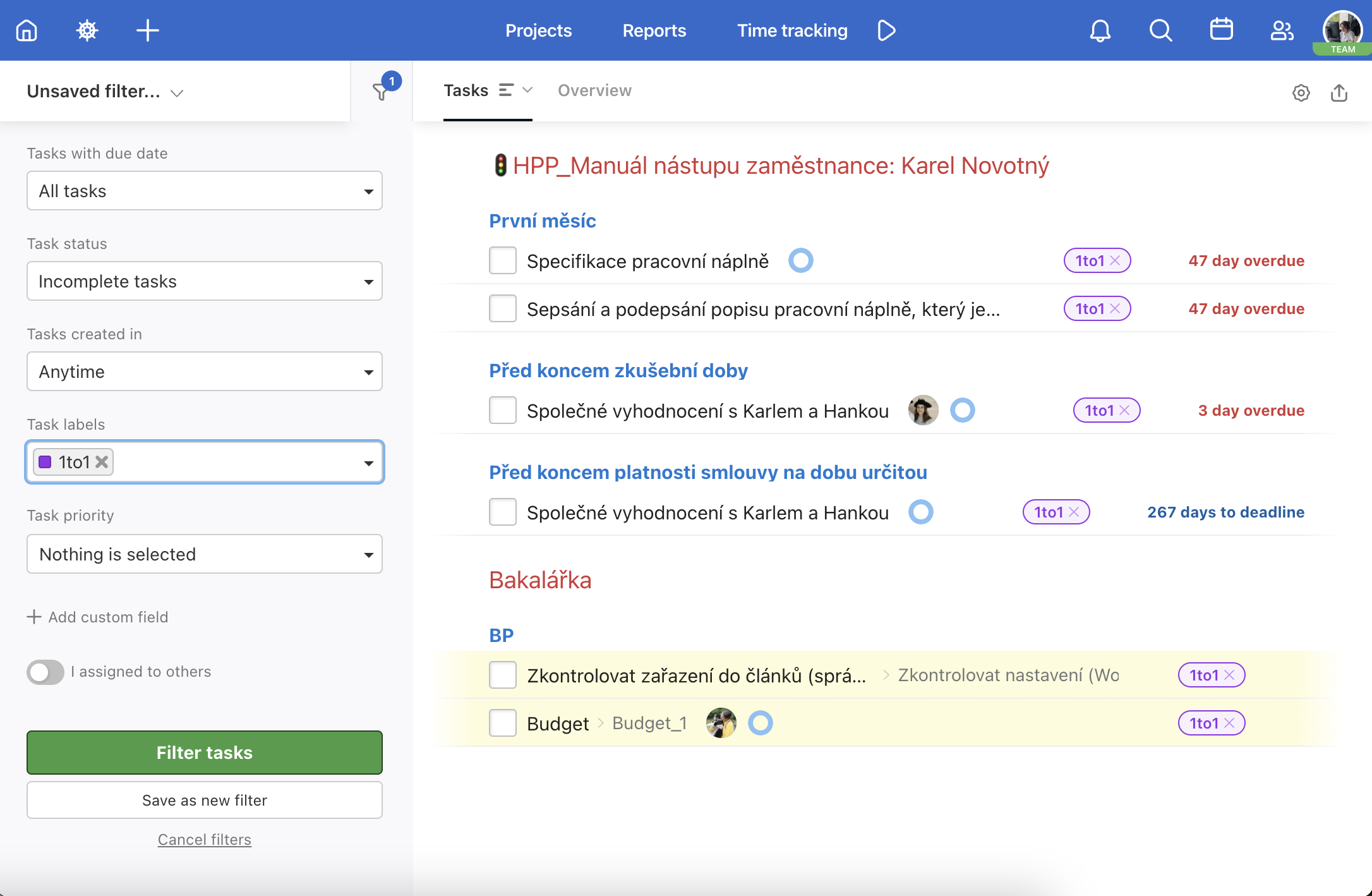 Example of filtered task label 1to1 on Dashboard.