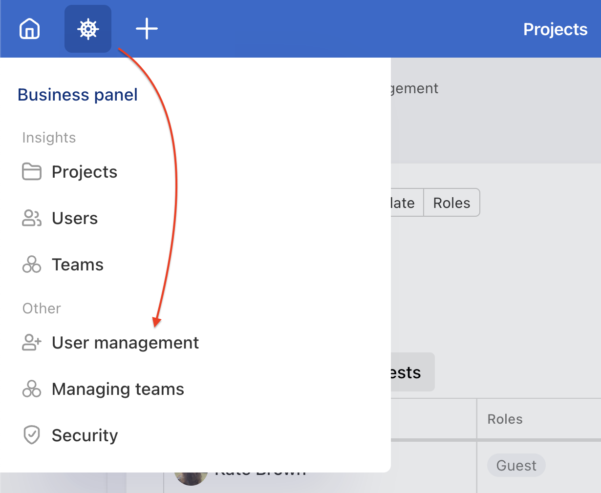 Click the helm icon to access the Business Panel, then go to User management.